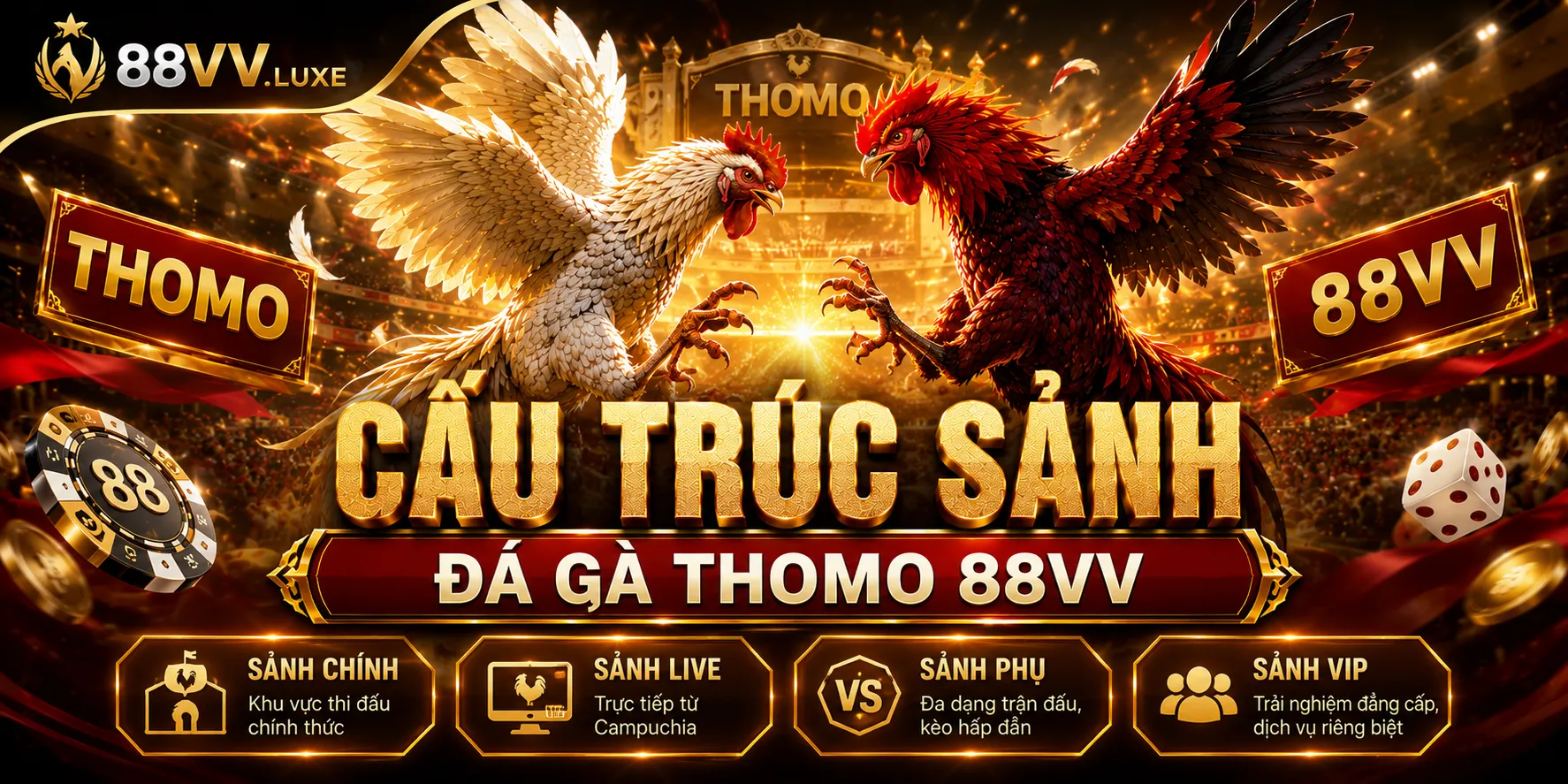 Cấu trúc sảnh đá gà Thomo 88VV